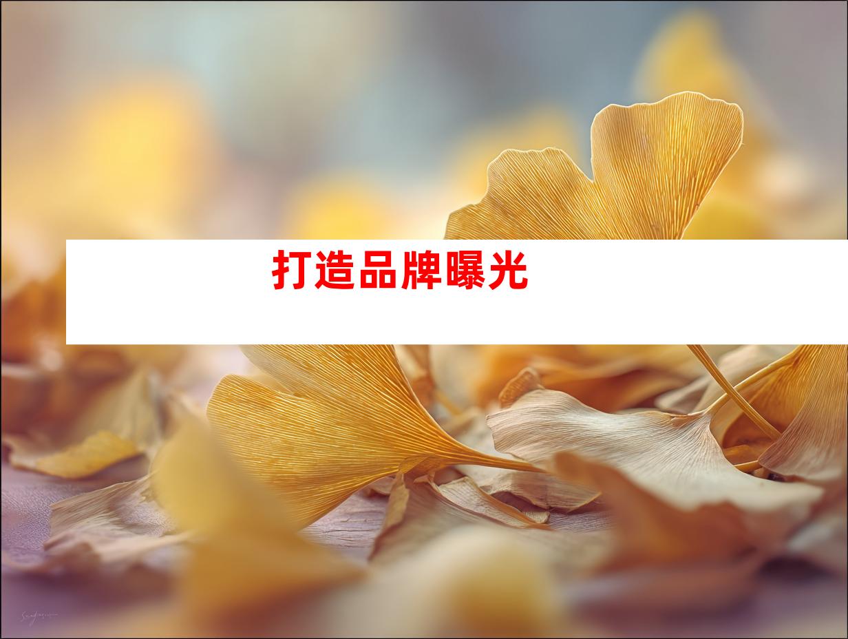  打造品牌曝光 