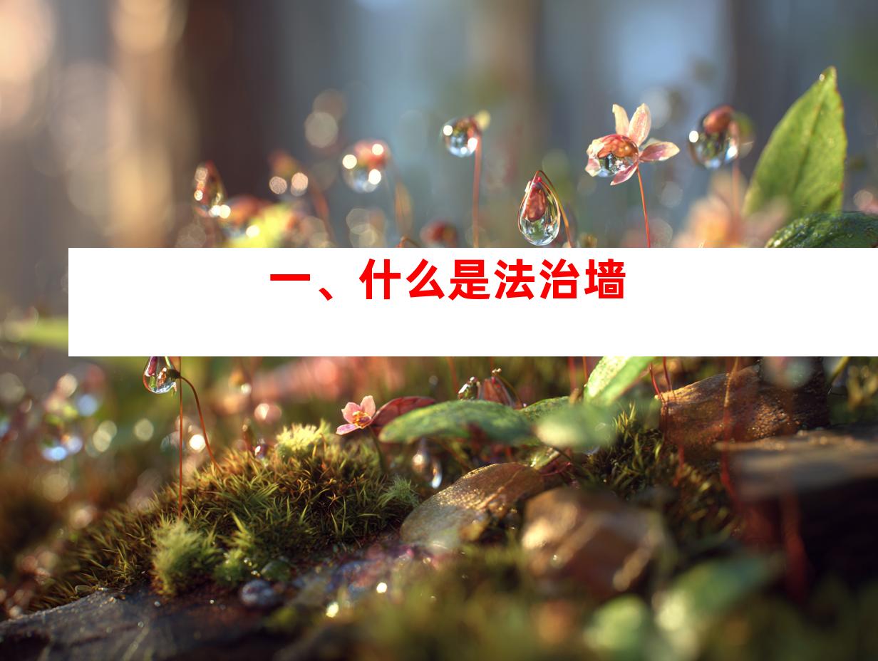 一、什么是法治墙