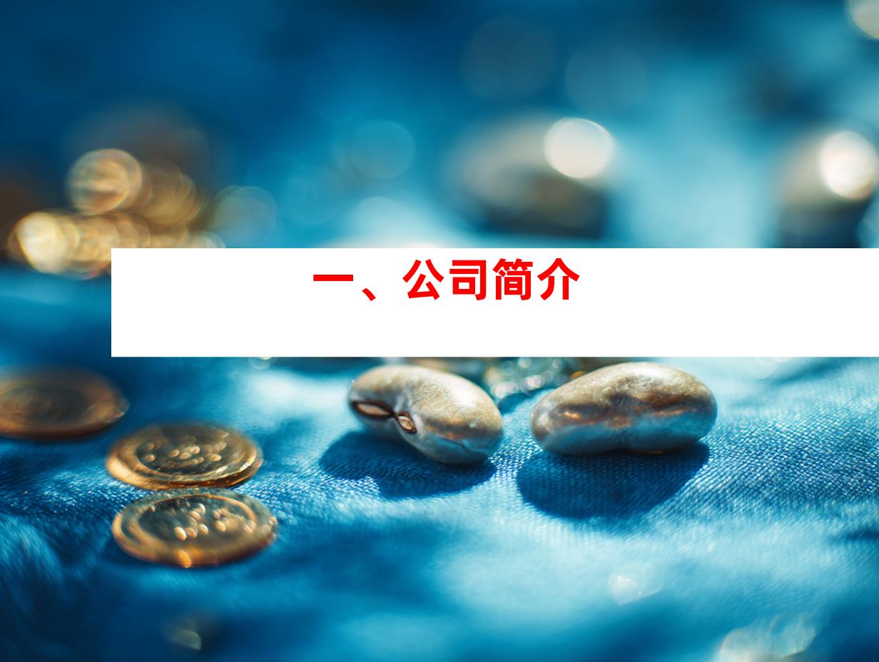 一、公司简介