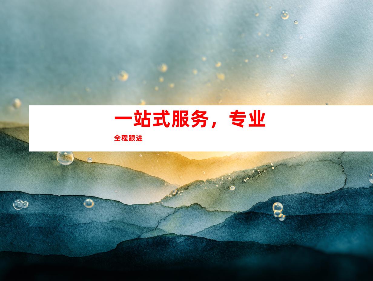 一站式服务，专业全程跟进