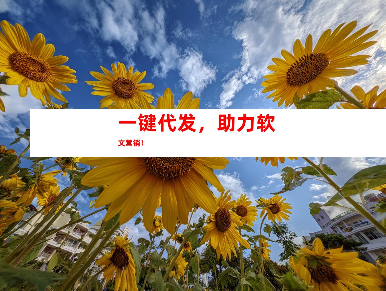 一键代发，助力软文营销！