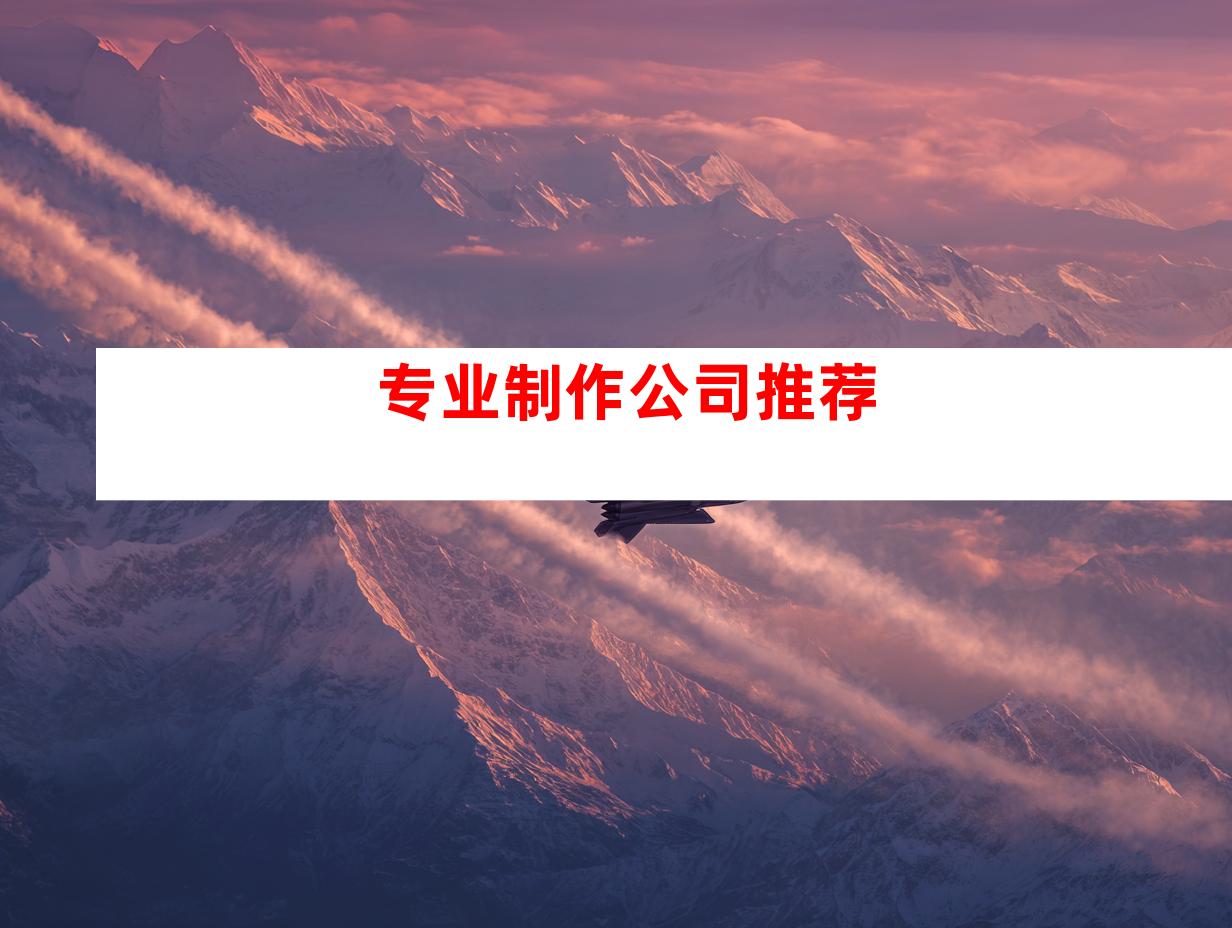 专业制作公司推荐
