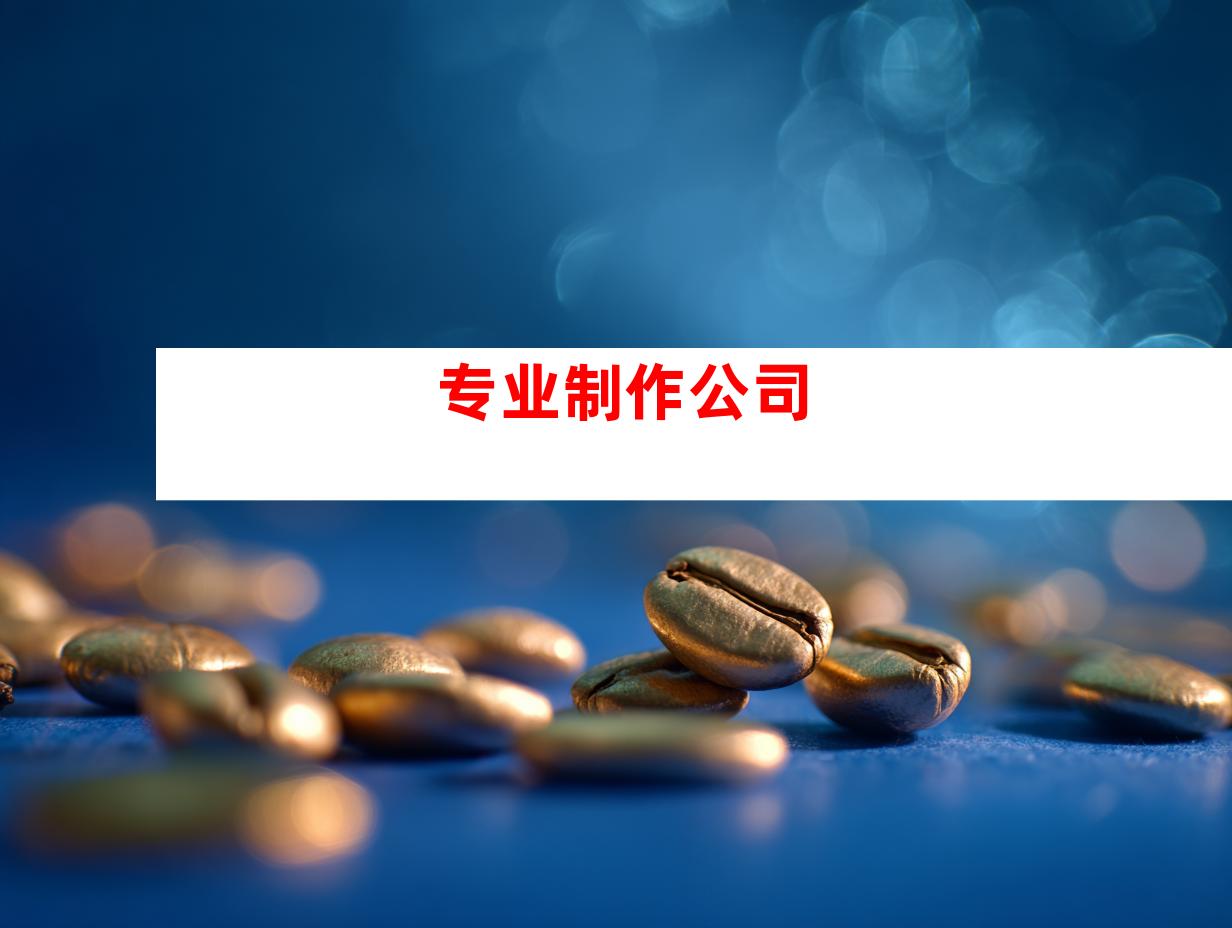 专业制作公司