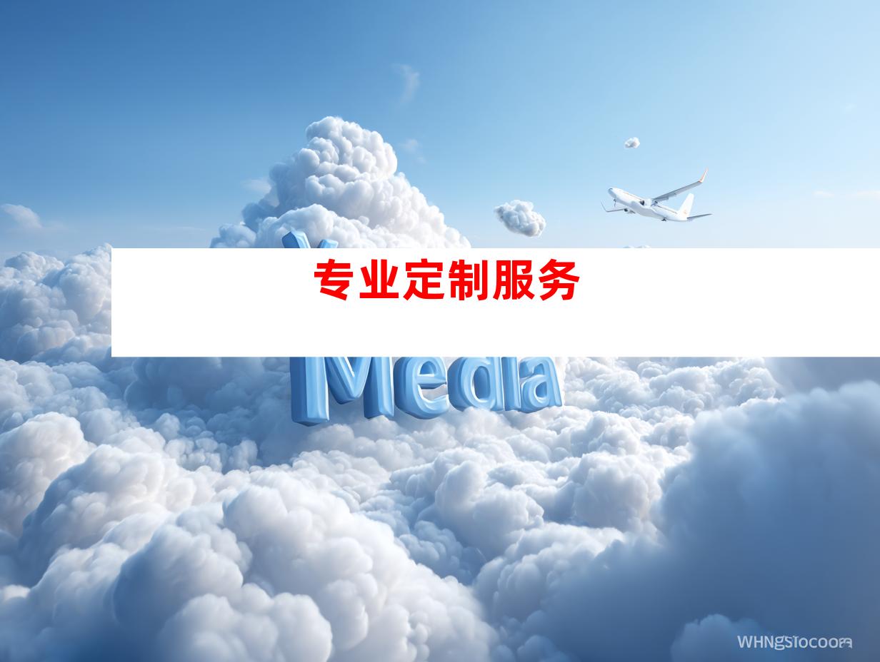专业定制服务