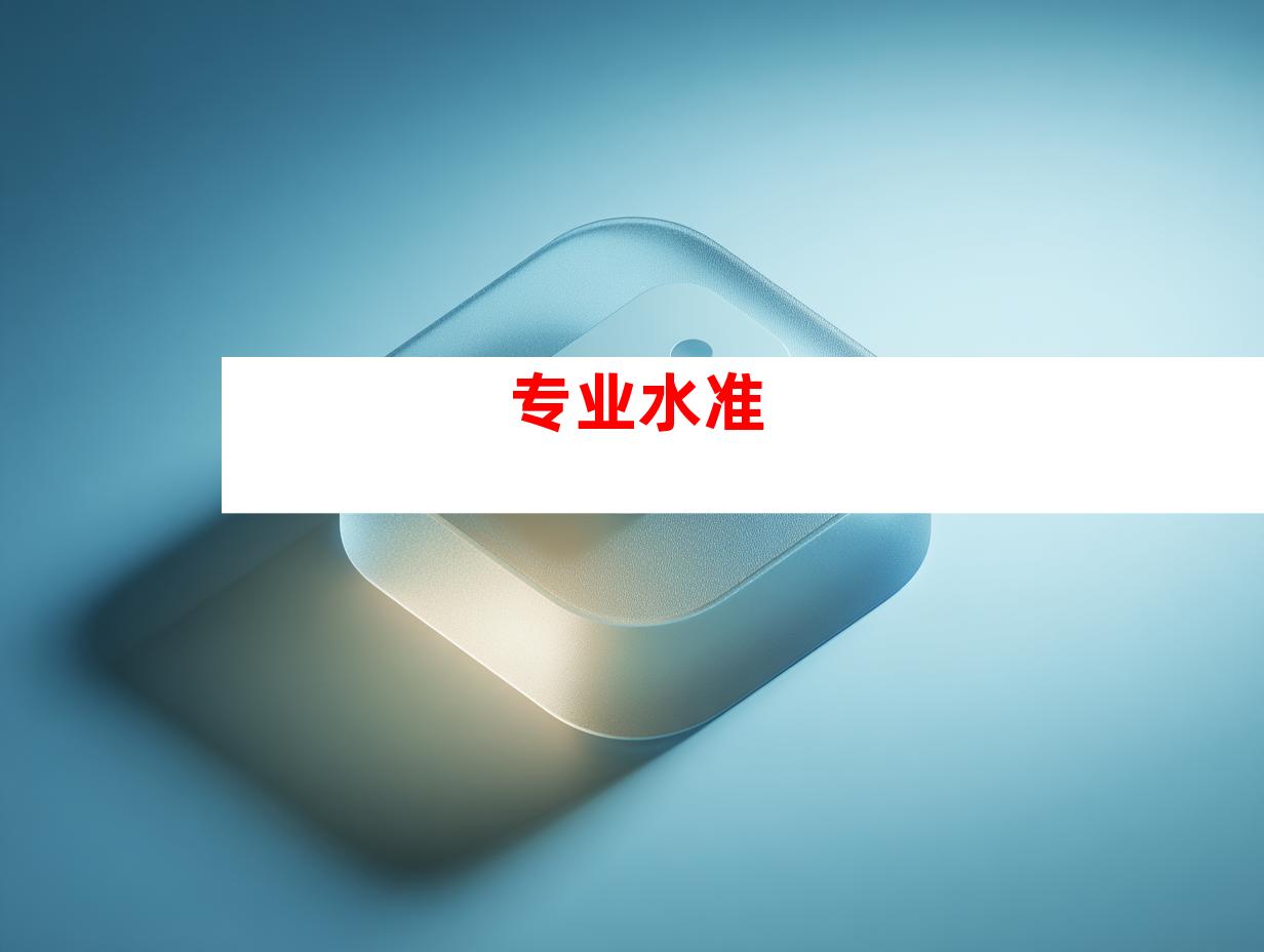 专业水准