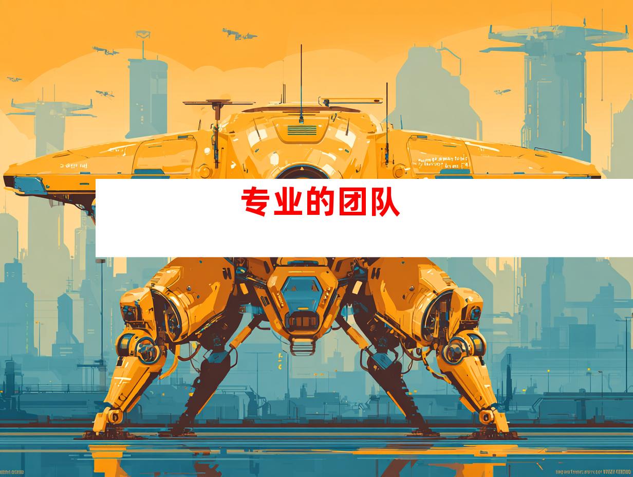 专业的团队