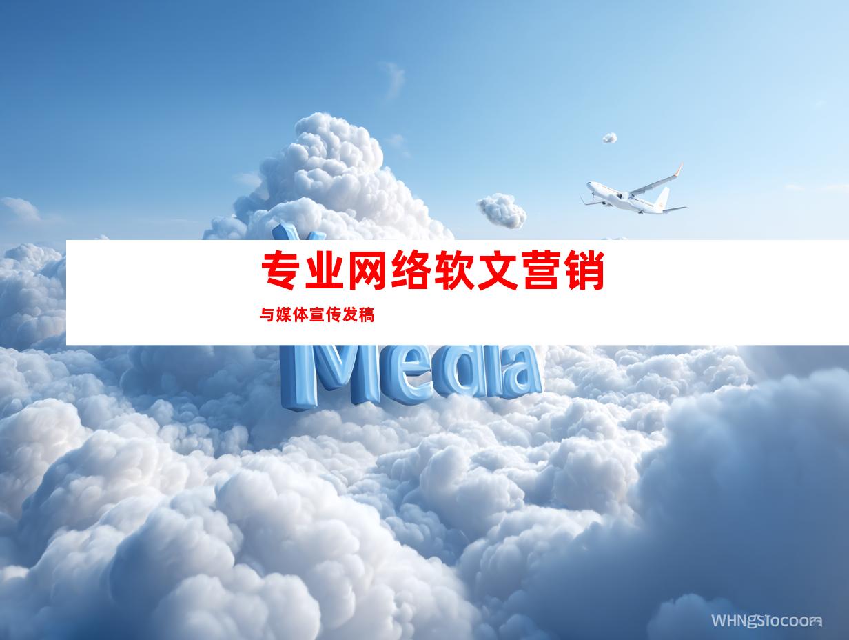 专业网络软文营销与媒体宣传发稿