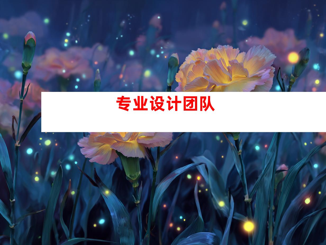 专业设计团队