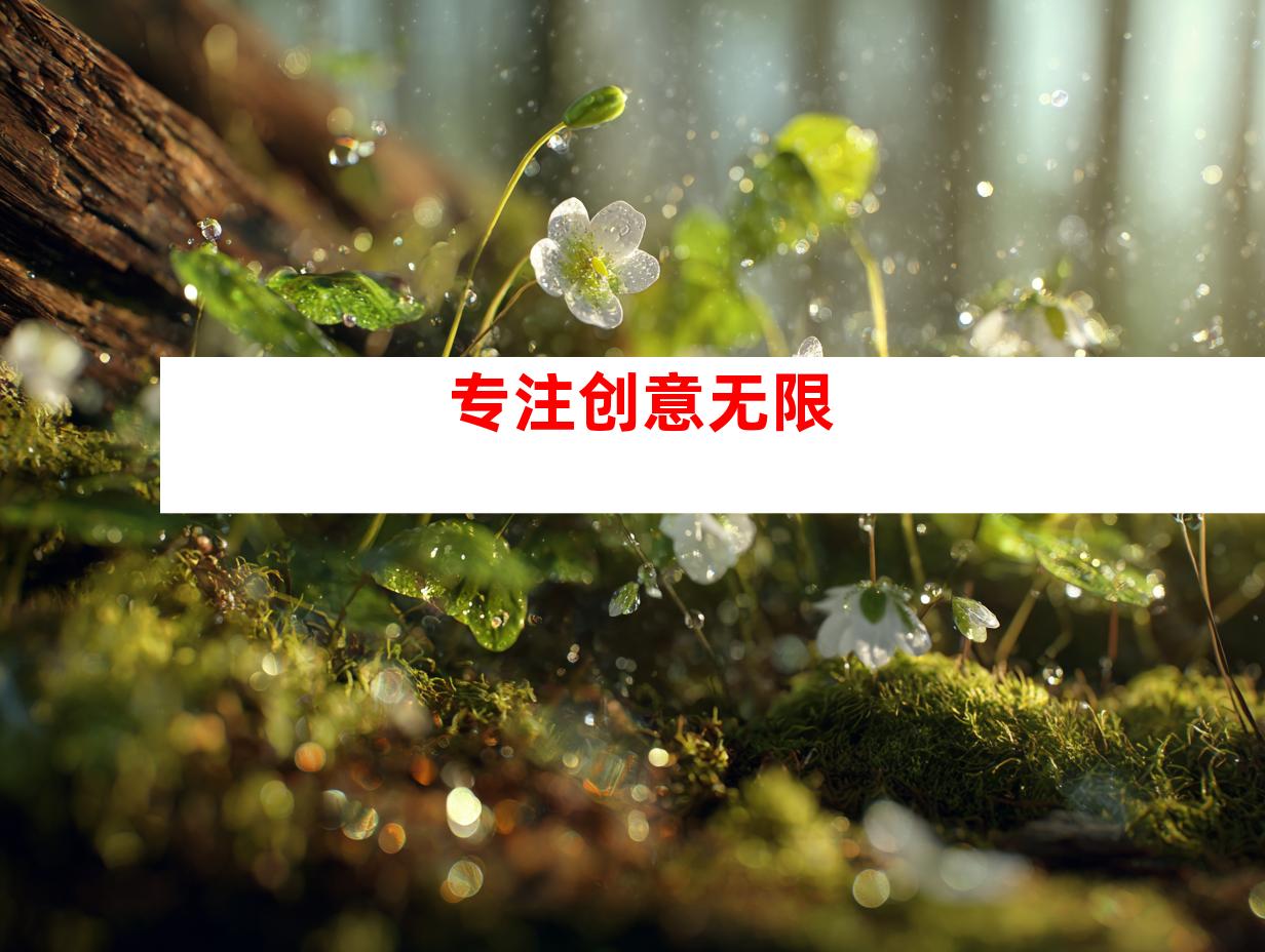 专注创意无限