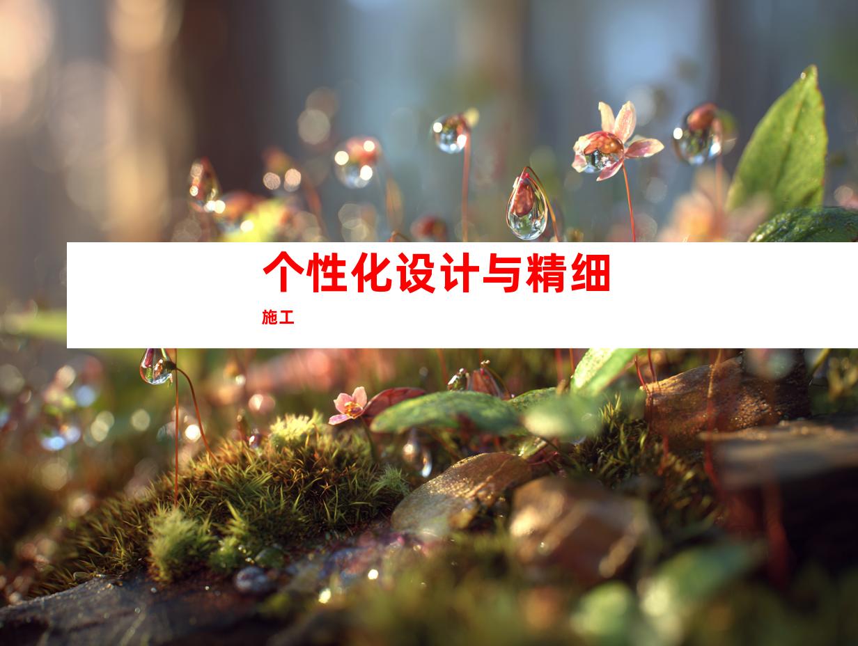个性化设计与精细施工