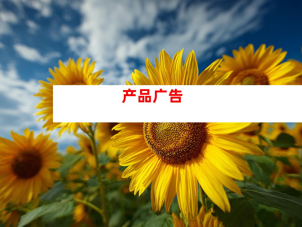 产品广告