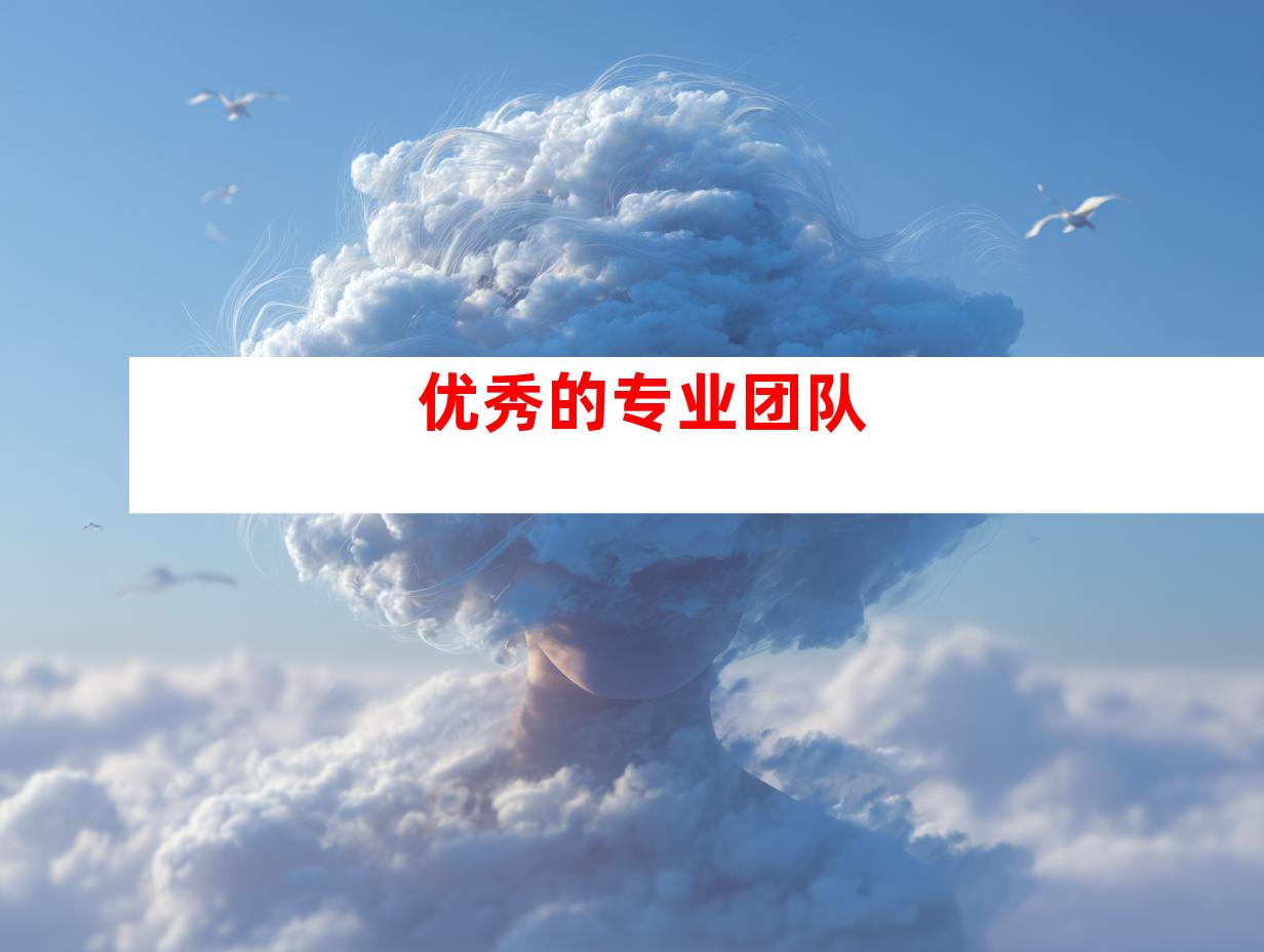 优秀的专业团队