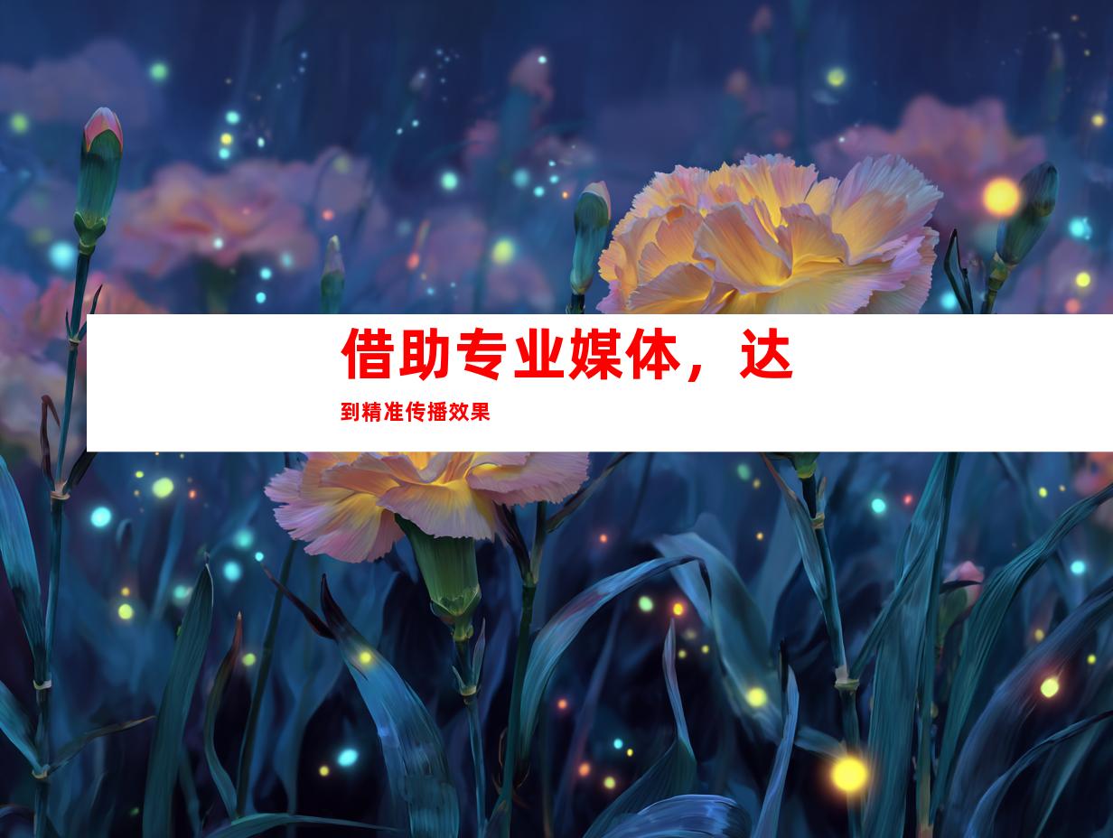 借助专业媒体，达到精准传播效果