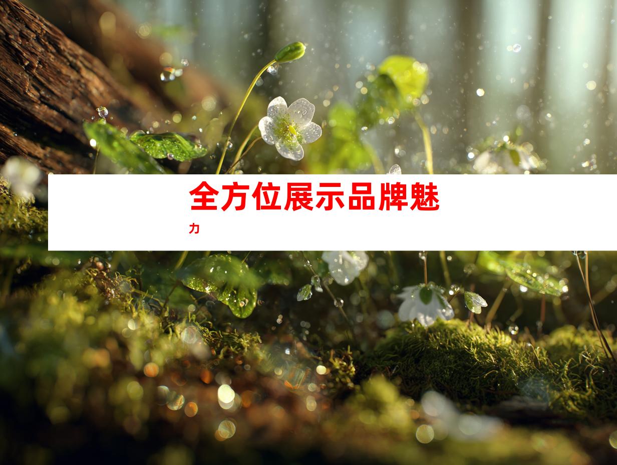 全方位展示品牌魅力