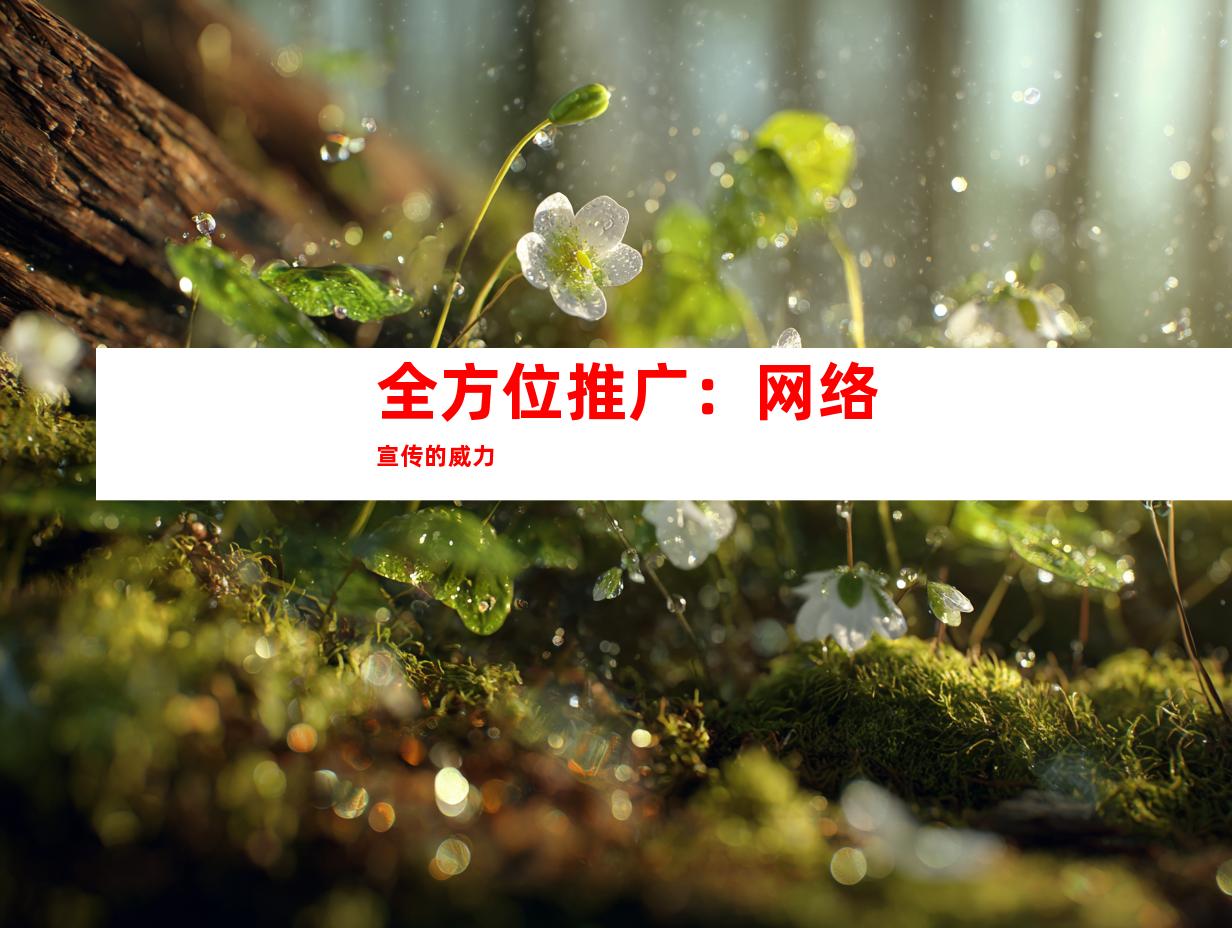全方位推广：网络宣传的威力