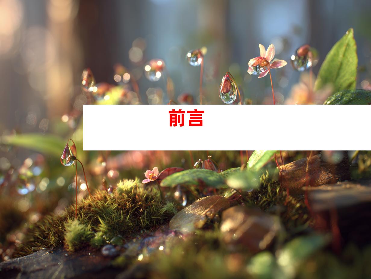 前言