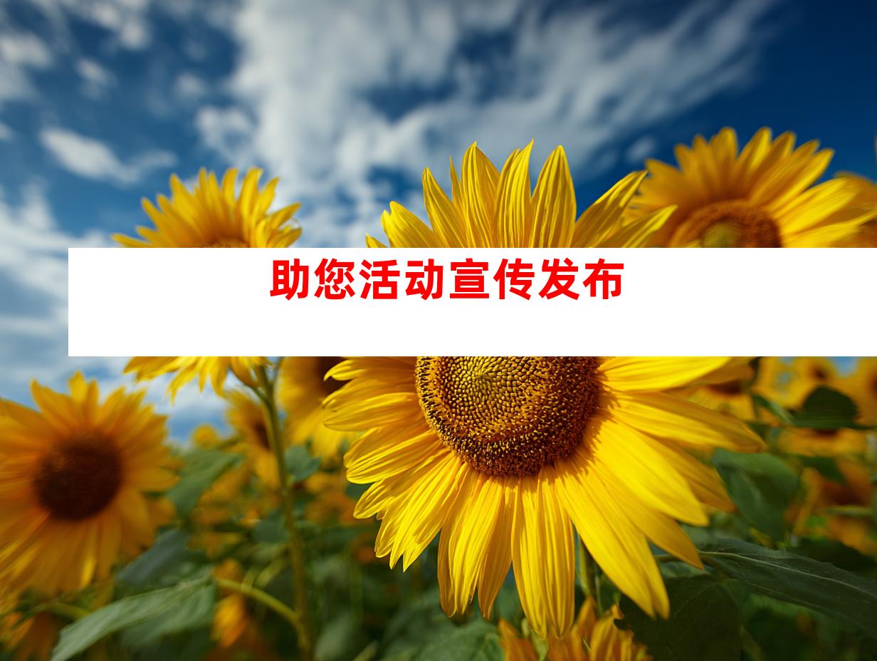 助您活动宣传发布
