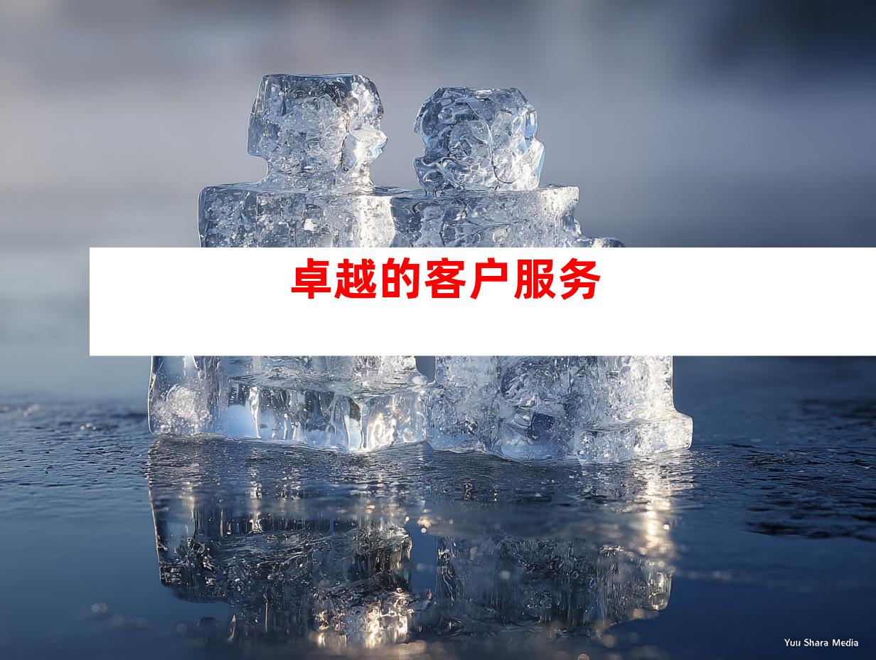 卓越的客户服务