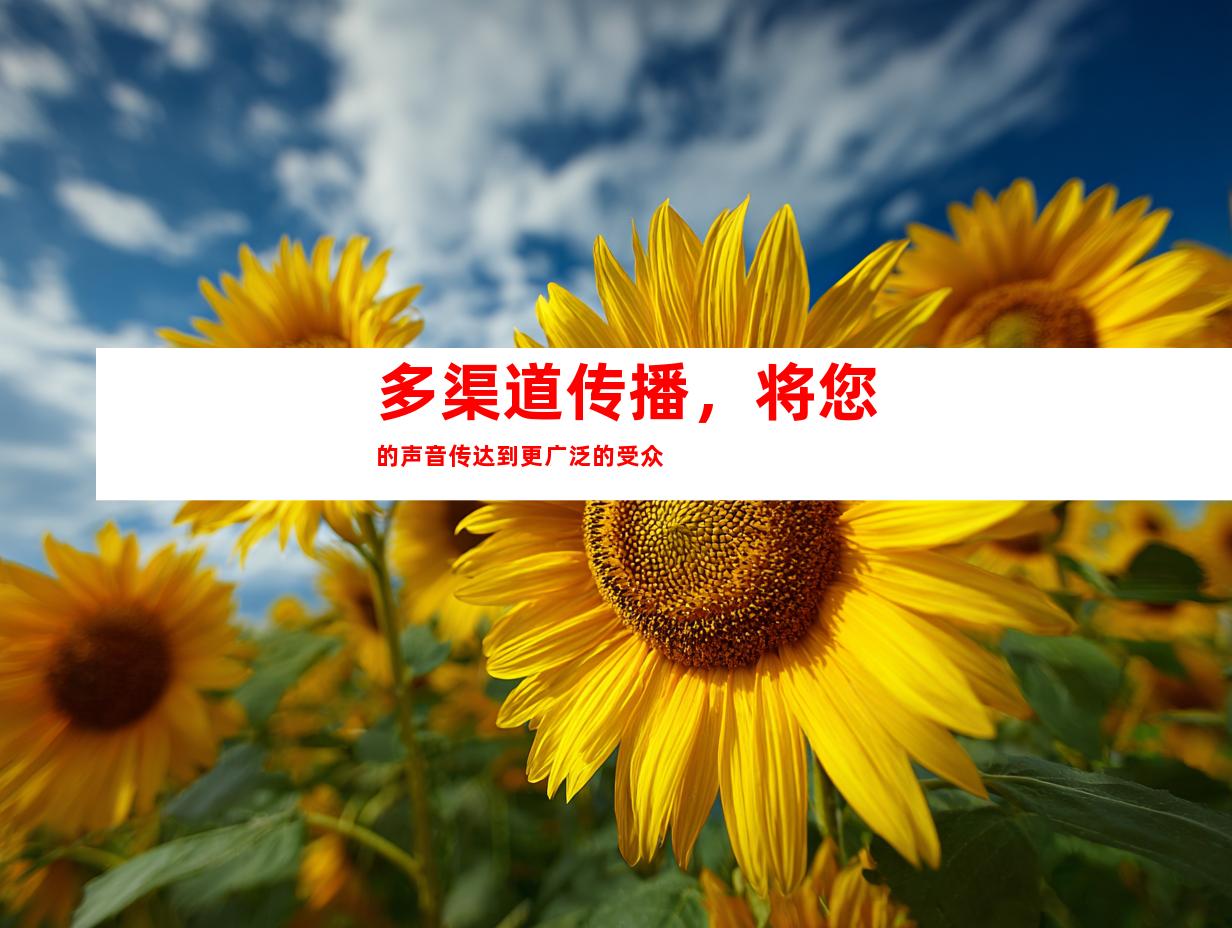 多渠道传播，将您的声音传达到更广泛的受众