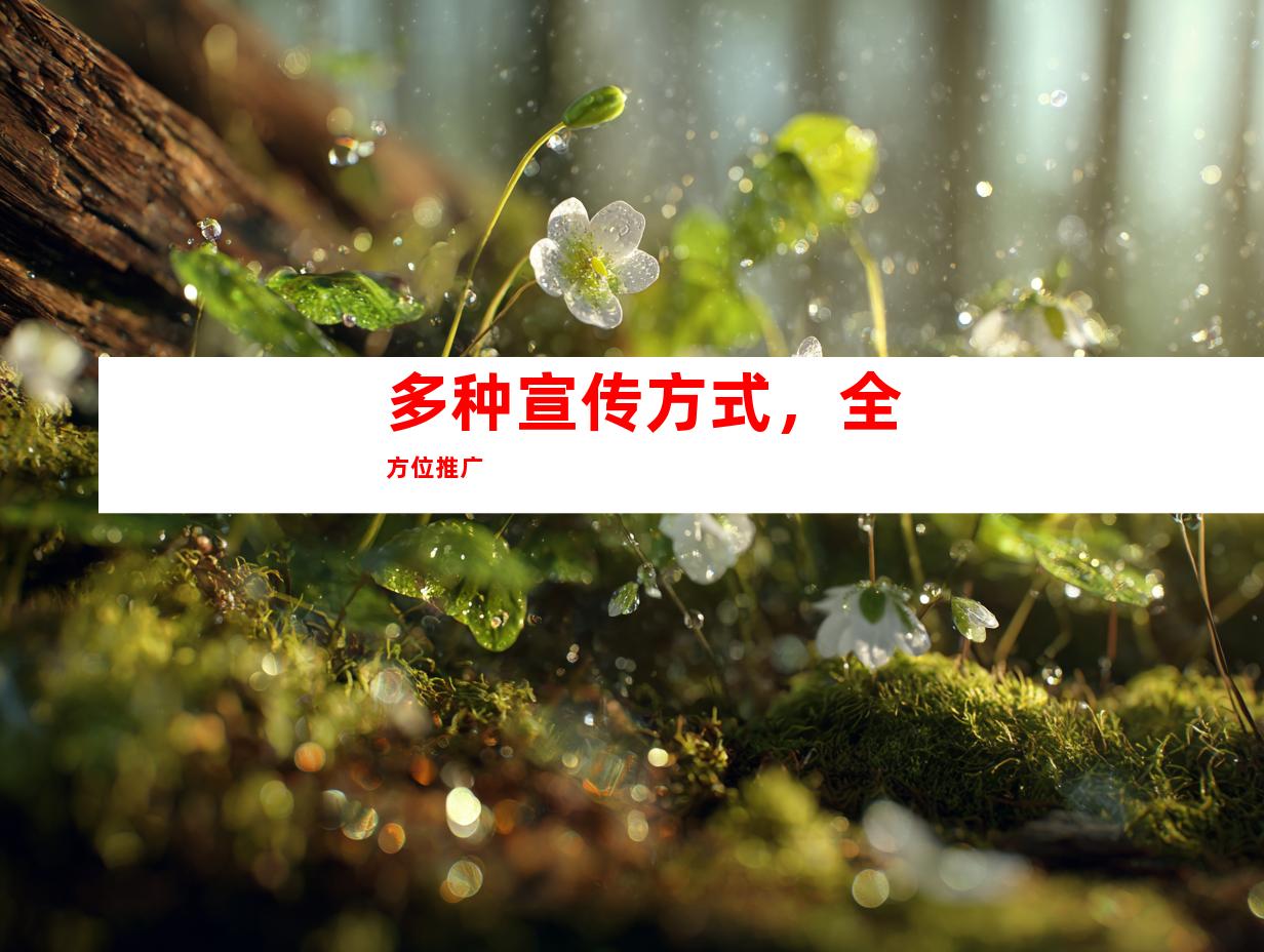 多种宣传方式，全方位推广