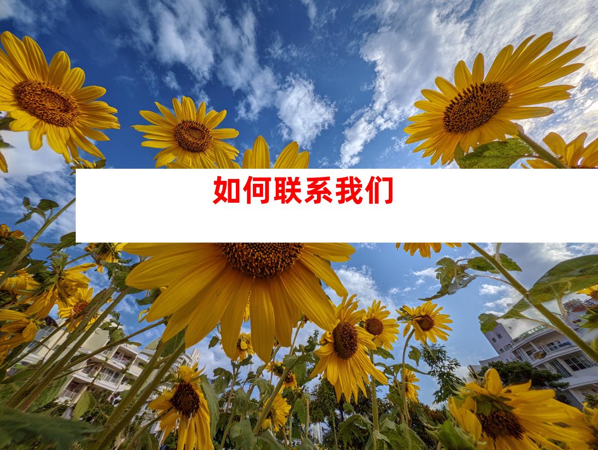 如何联系我们