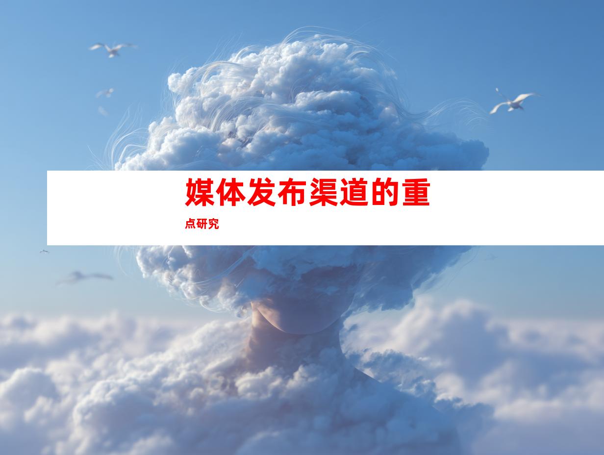 媒体发布渠道的重点研究