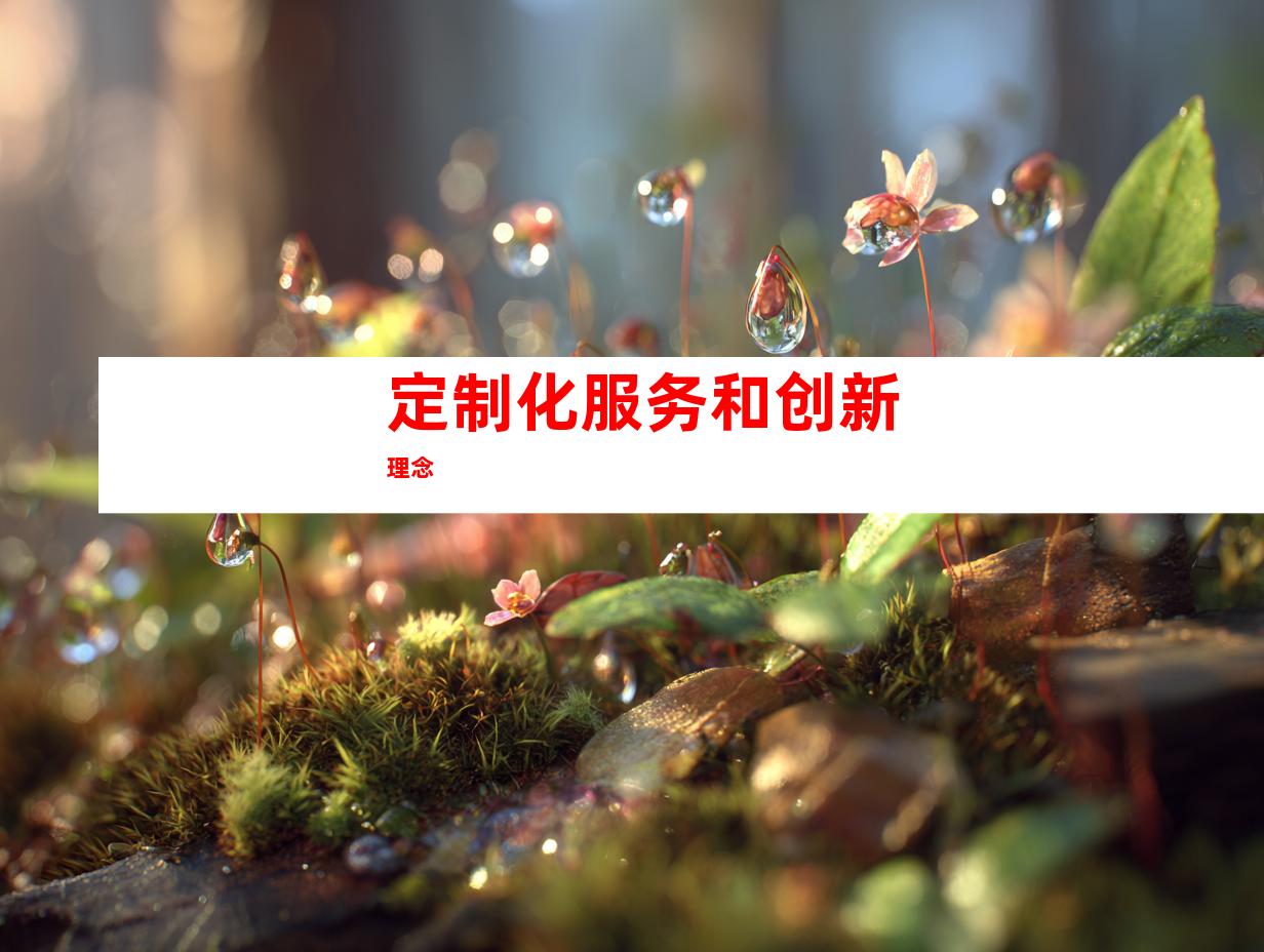 定制化服务和创新理念