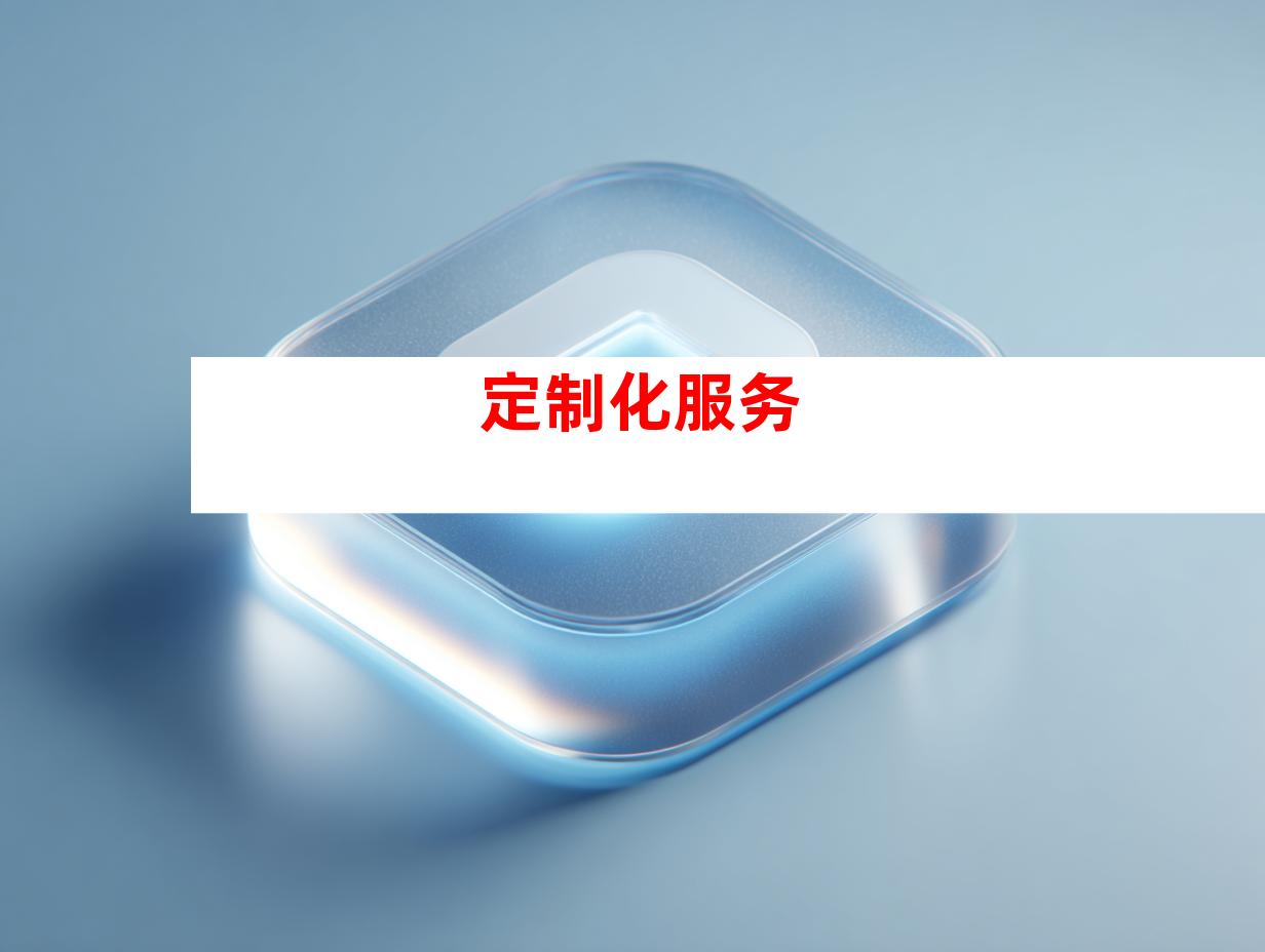 定制化服务
