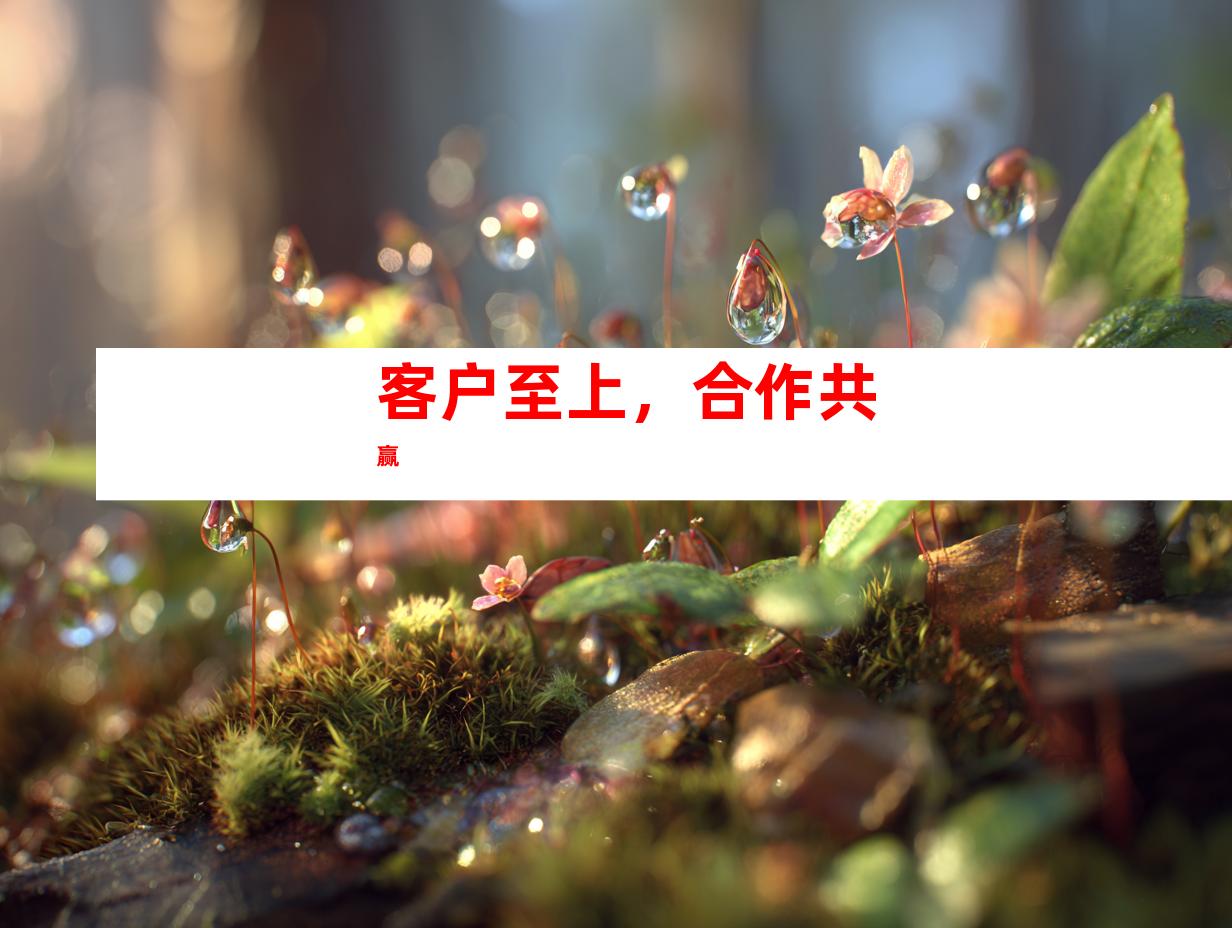 客户至上，合作共赢