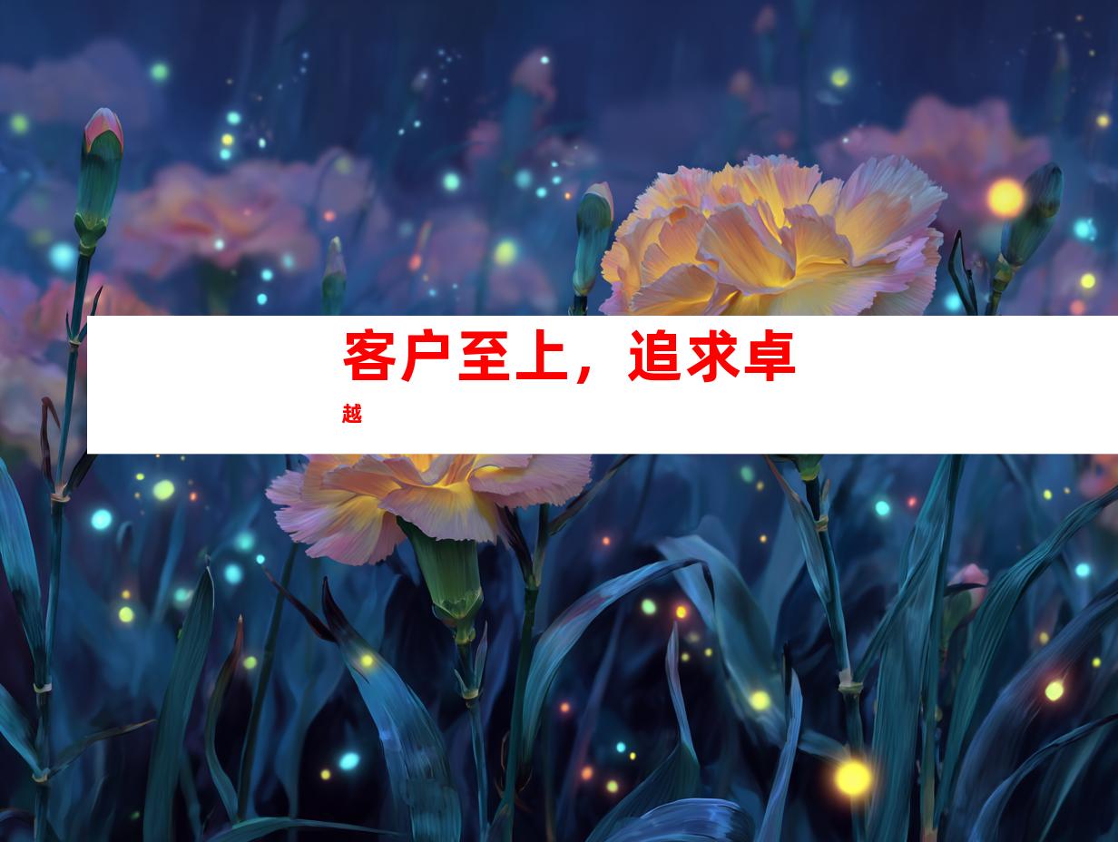 客户至上，追求卓越