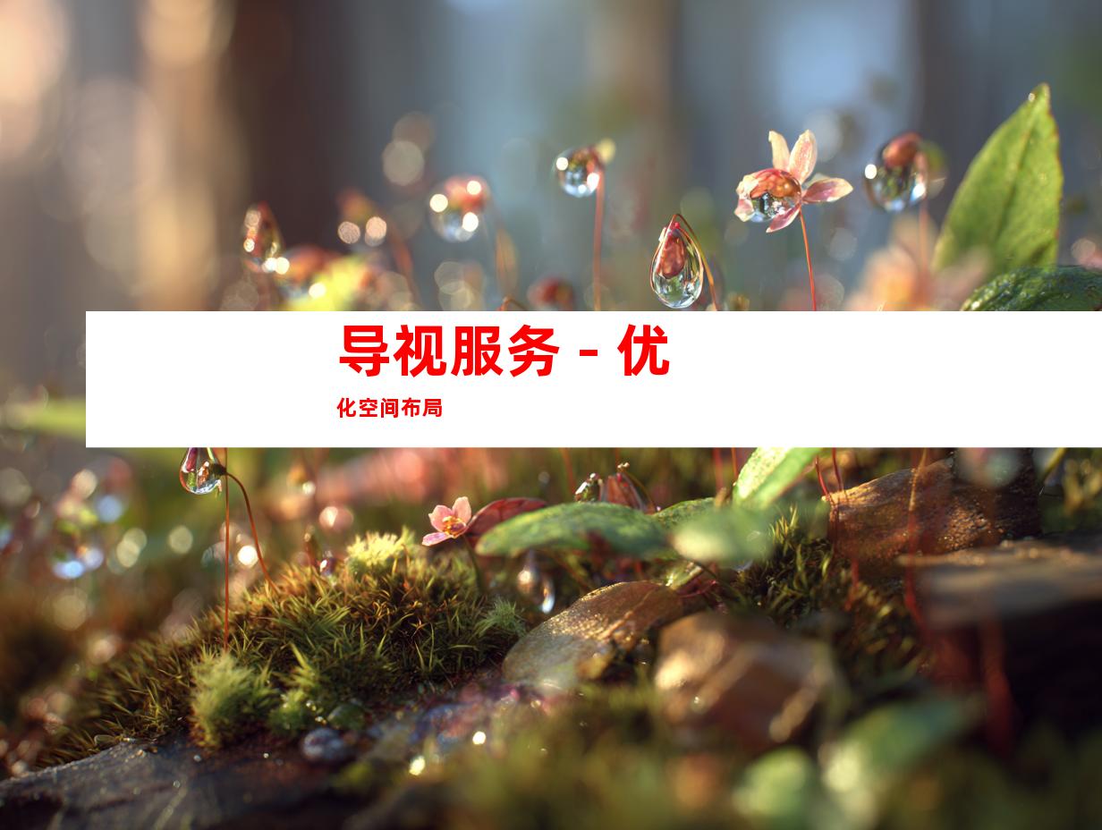 导视服务 - 优化空间布局