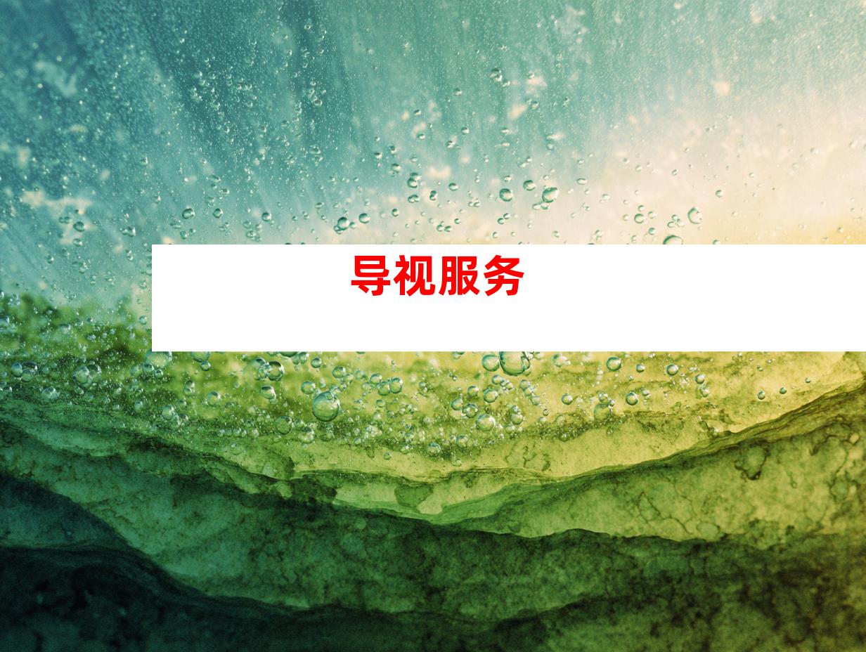 导视服务