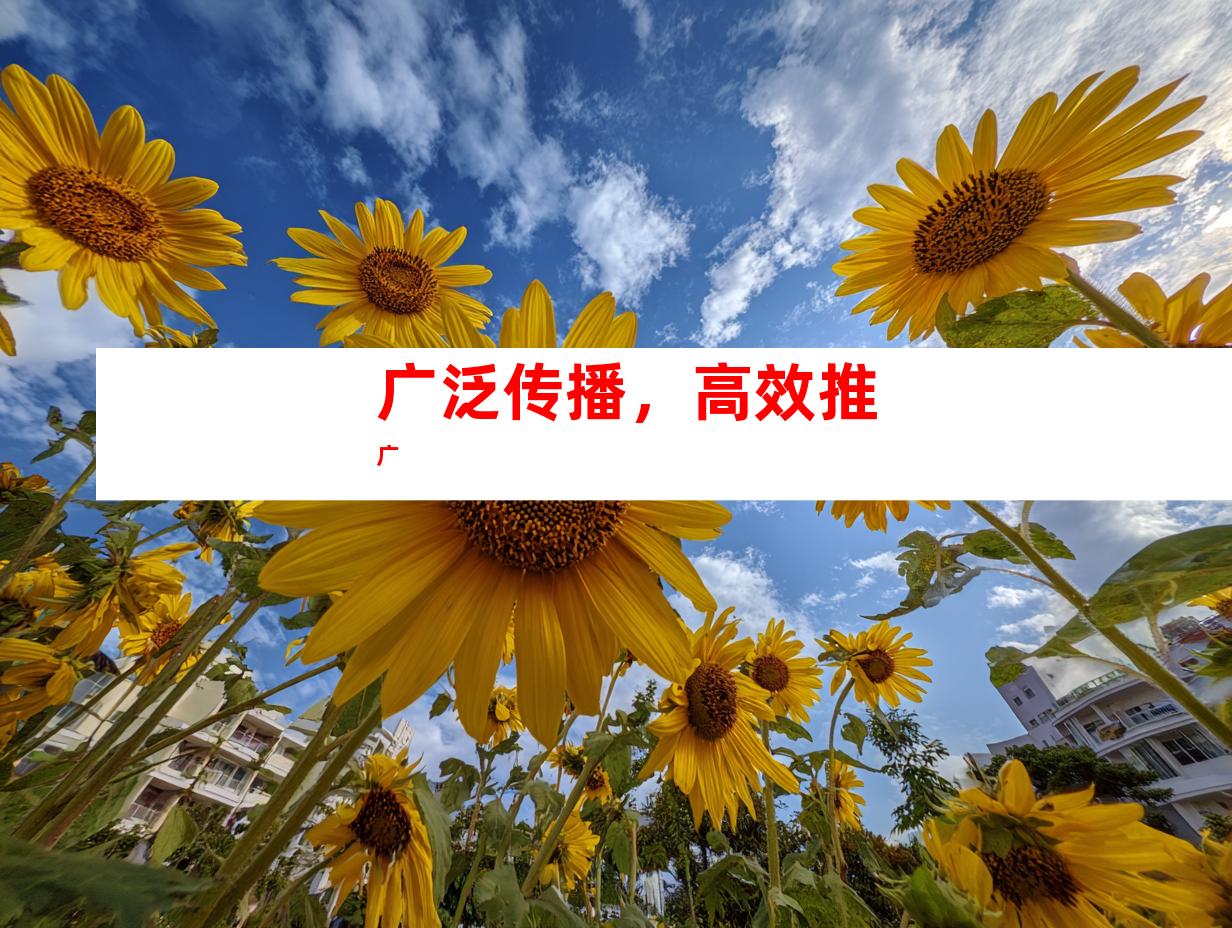 广泛传播，高效推广