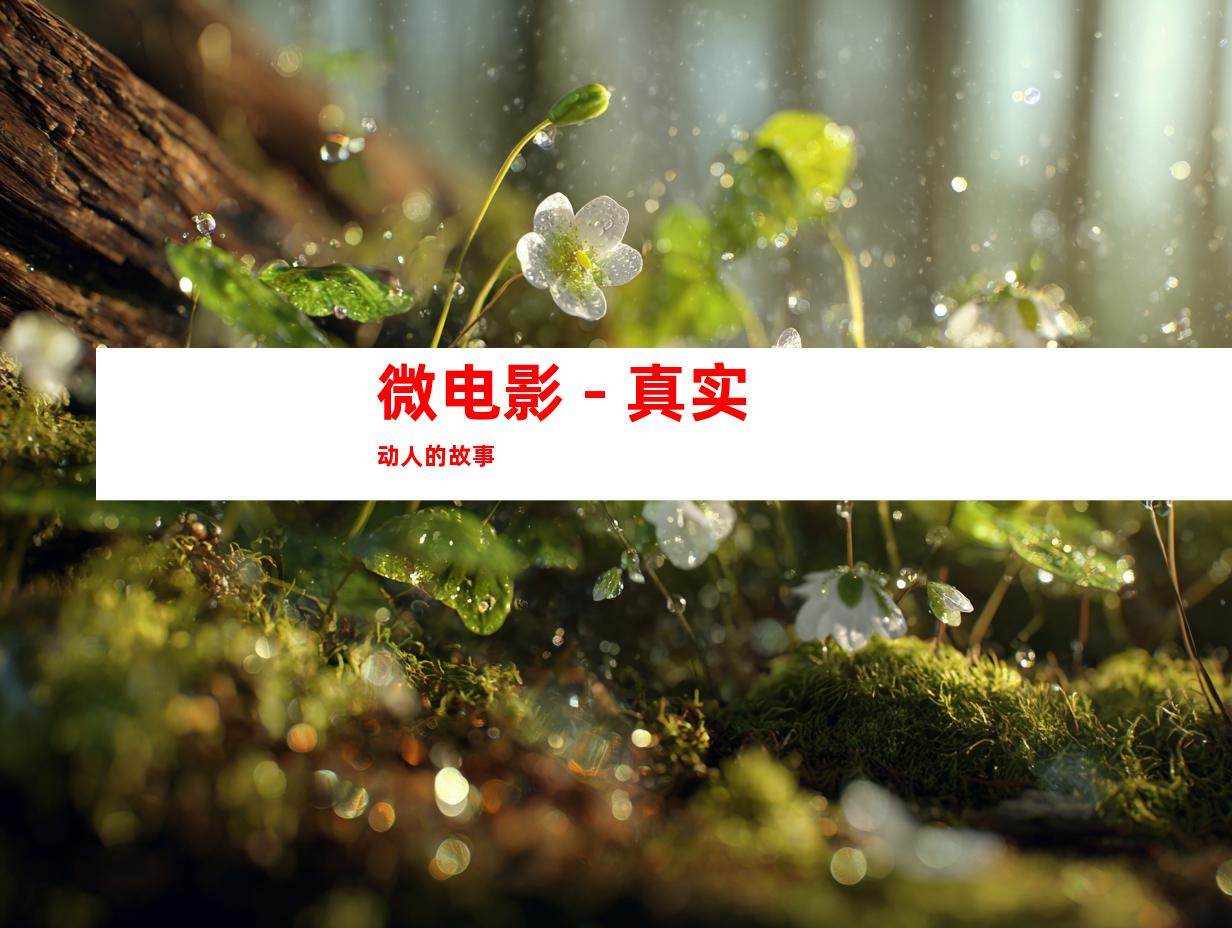 微电影 - 真实动人的故事