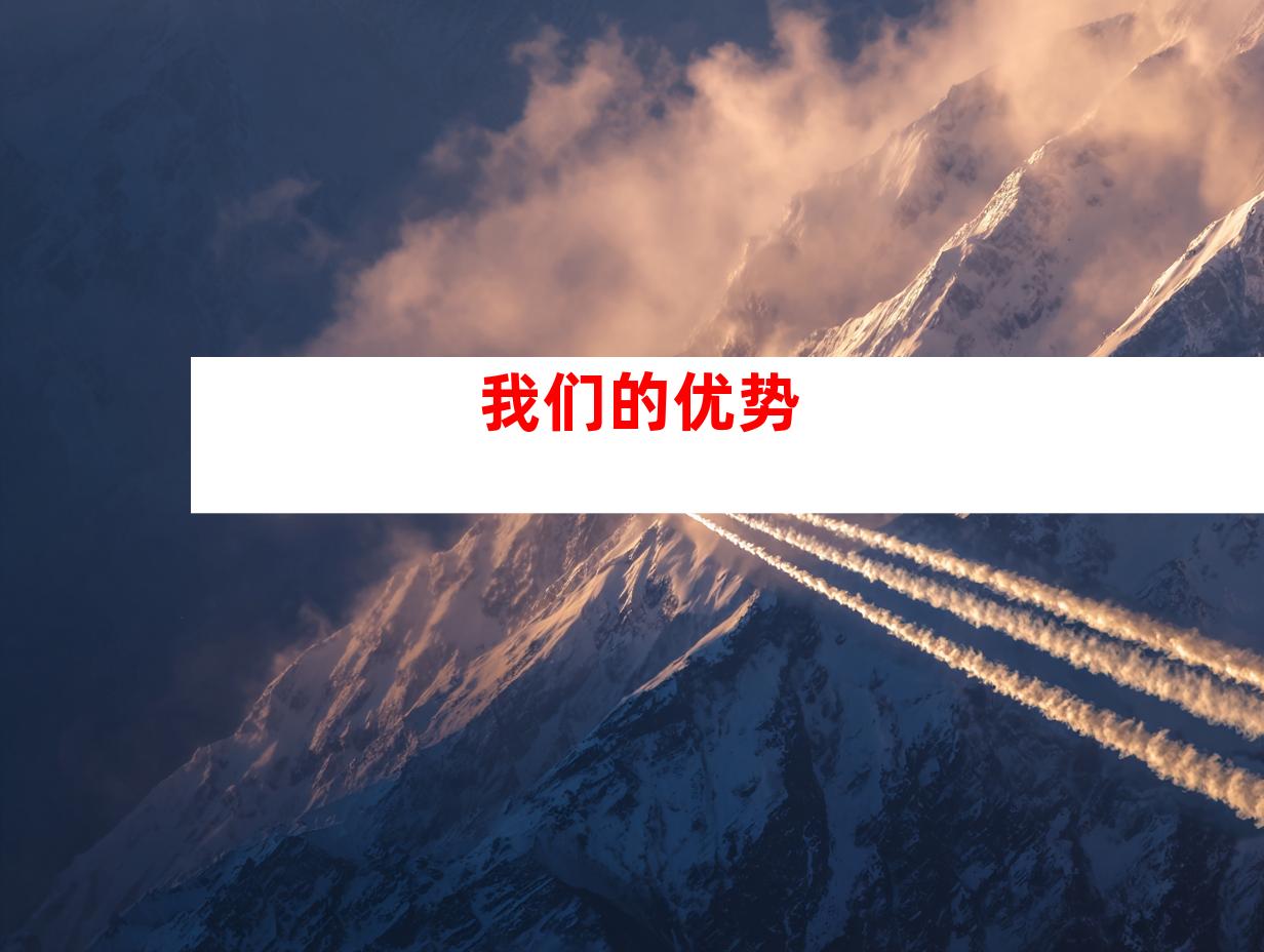 我们的优势