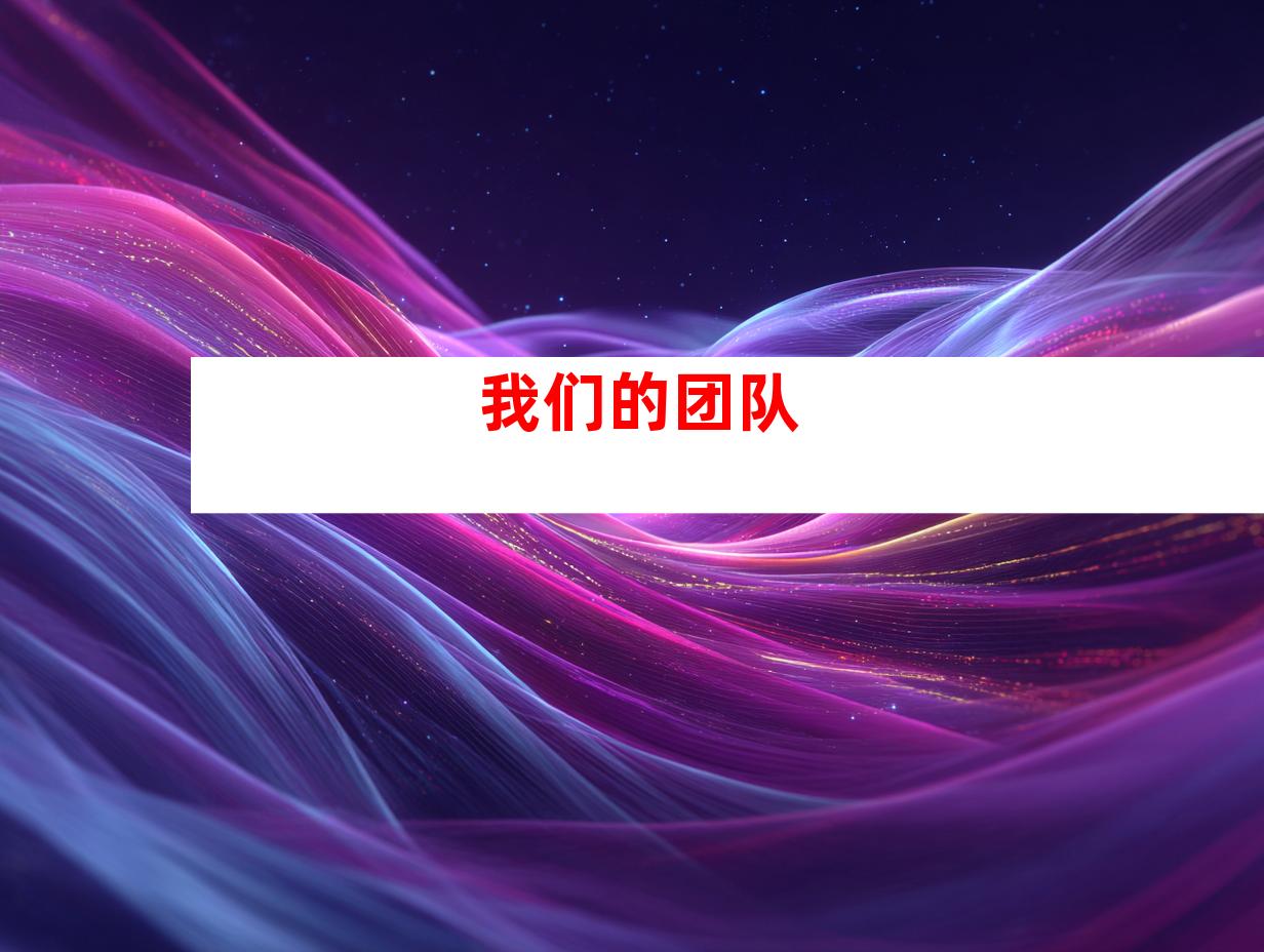 我们的团队