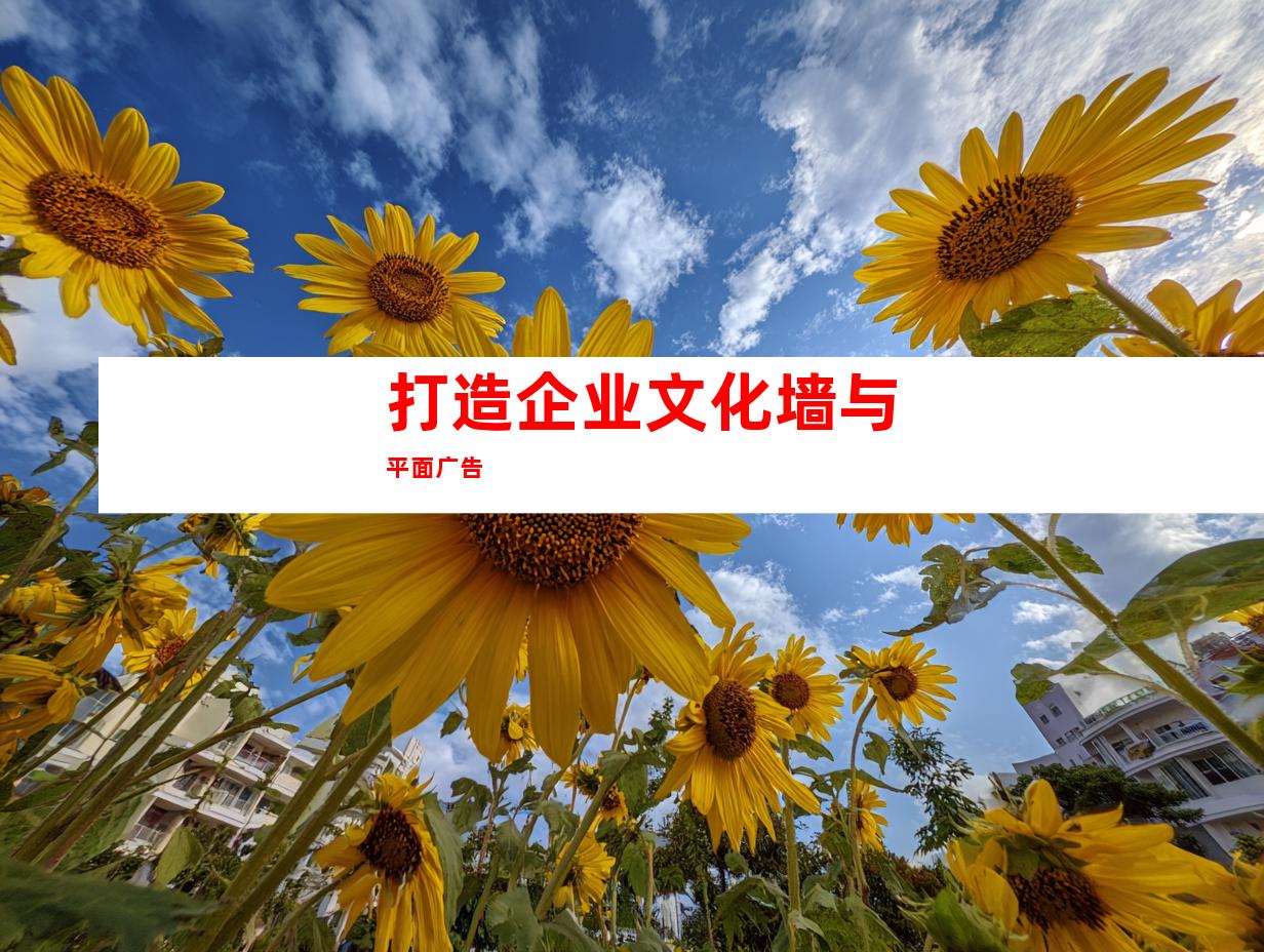 打造企业文化墙与平面广告