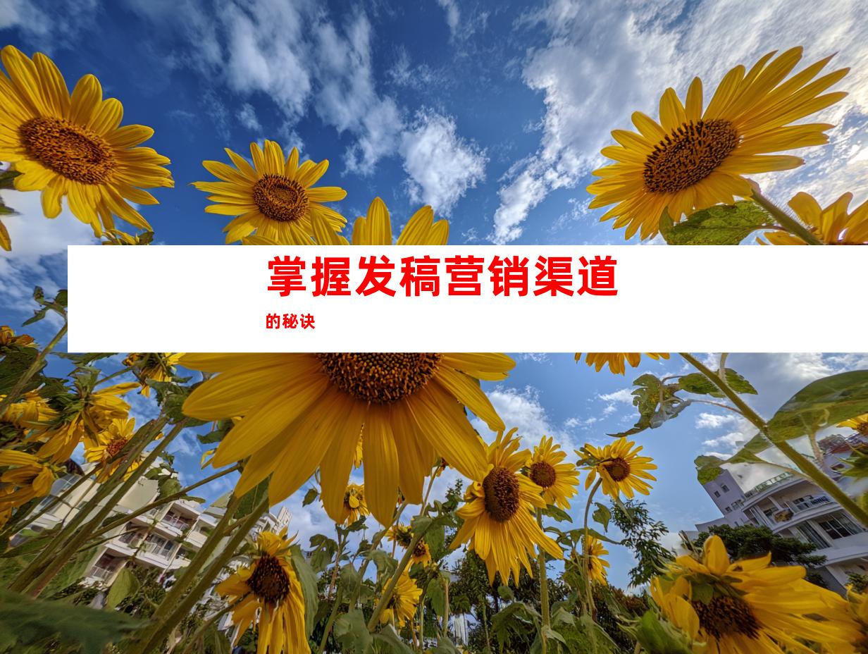 掌握发稿营销渠道的秘诀