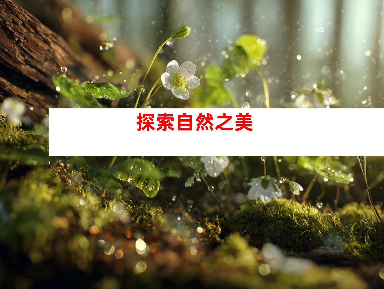 探索自然之美