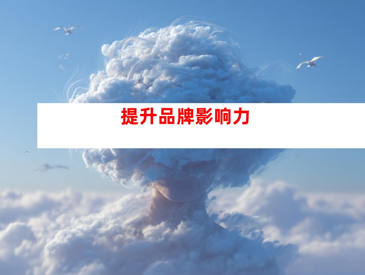 提升品牌影响力