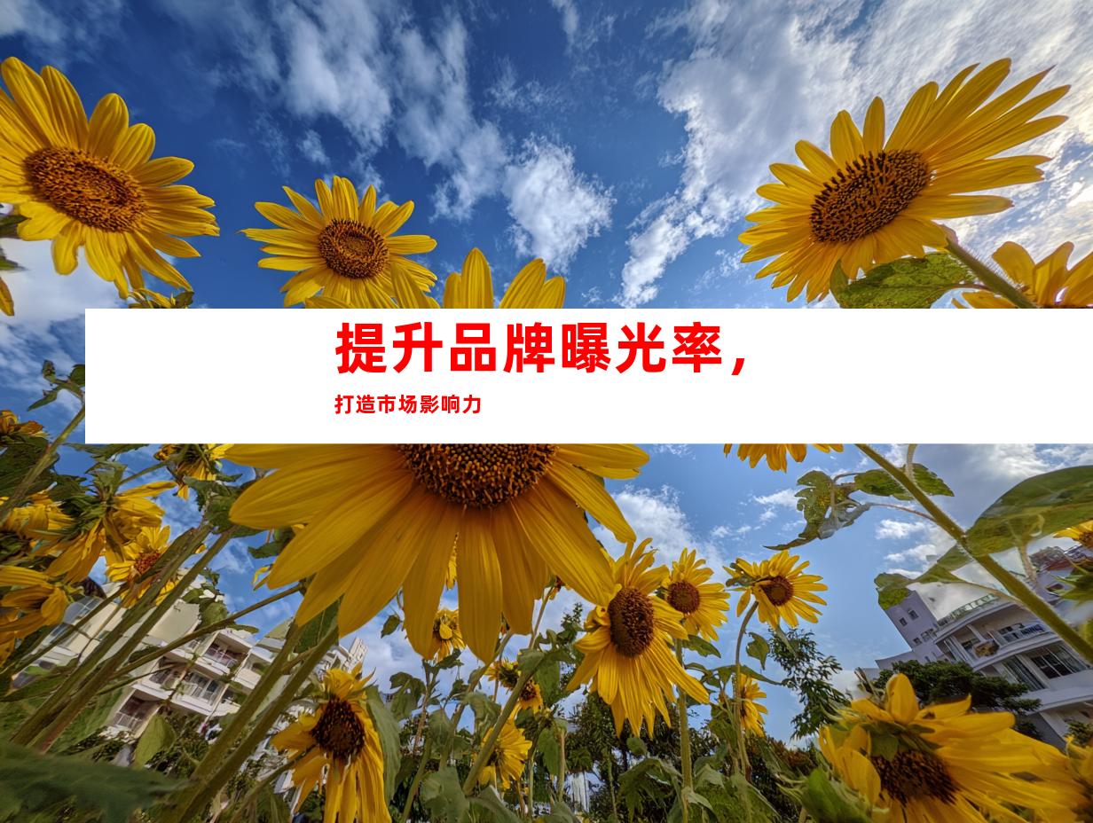 提升品牌曝光率，打造市场影响力