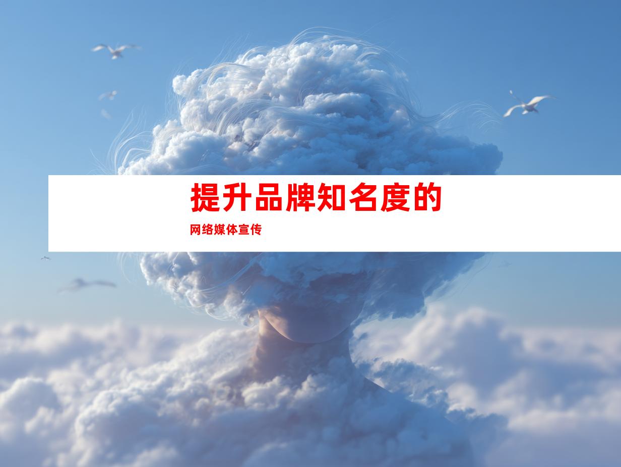 提升品牌知名度的网络媒体宣传