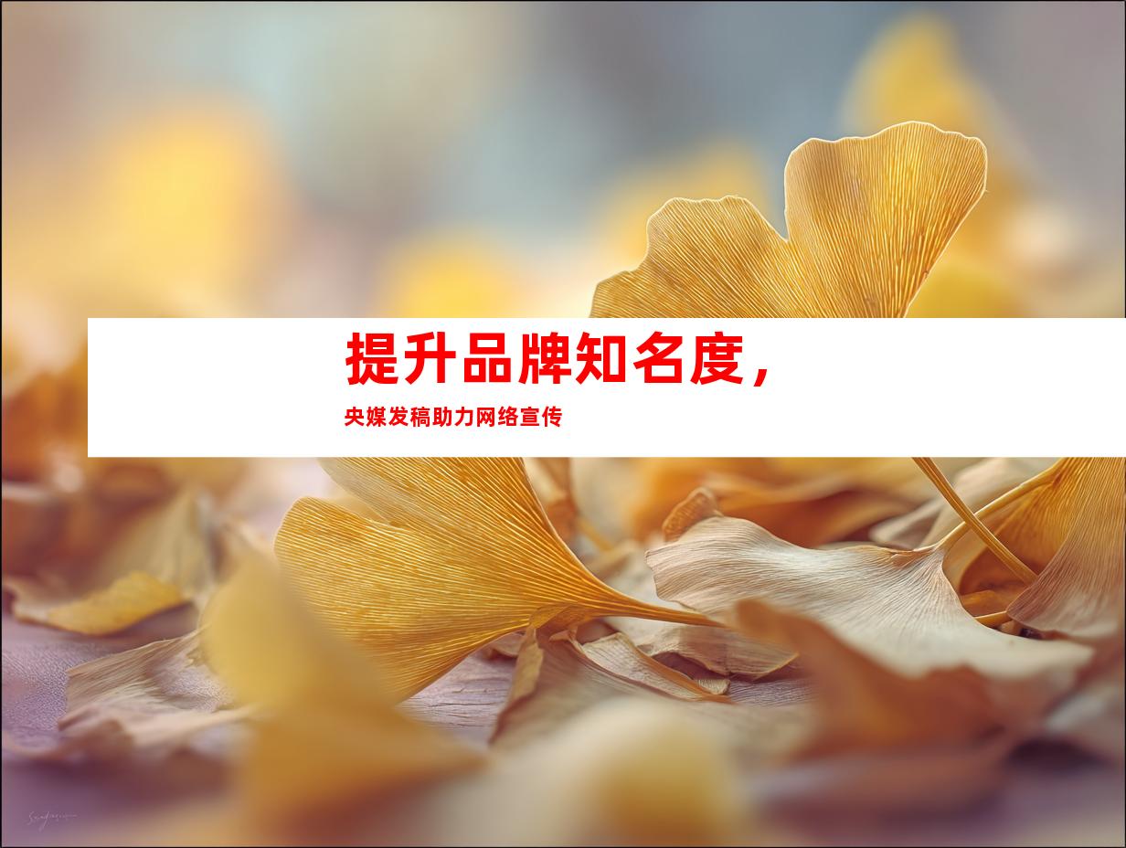 提升品牌知名度，央媒发稿助力网络宣传