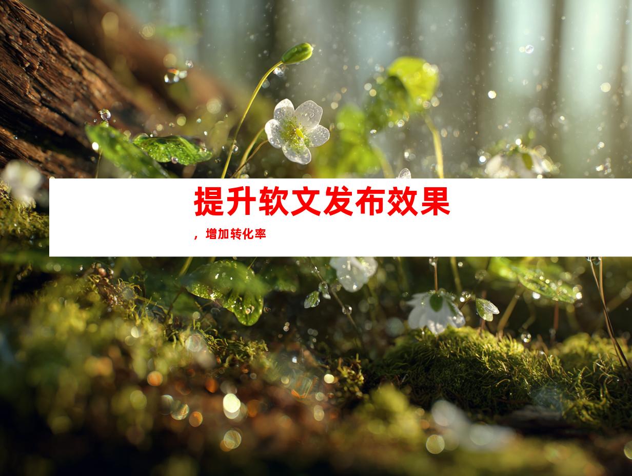 提升软文发布效果，增加转化率