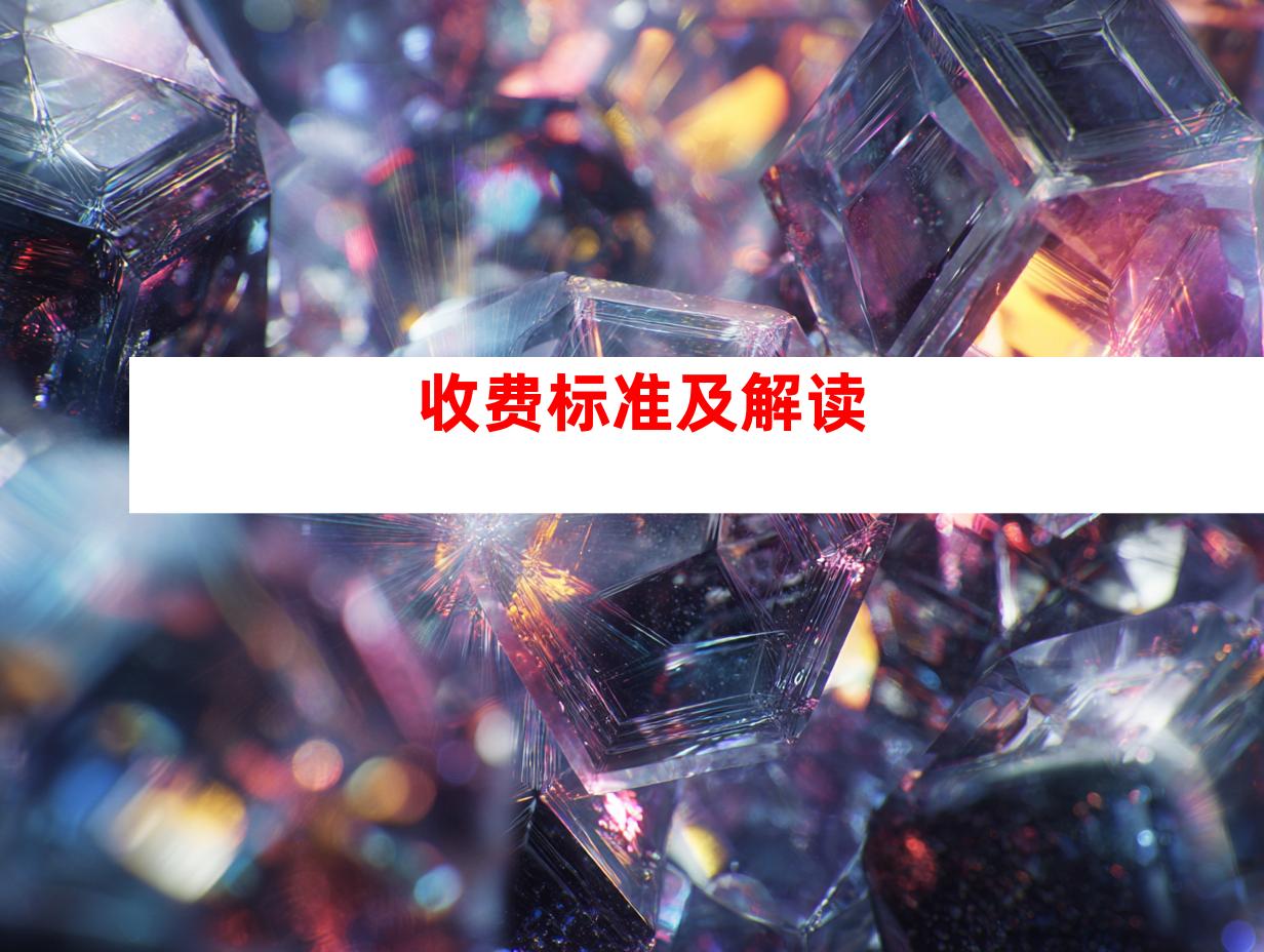 收费标准及解读