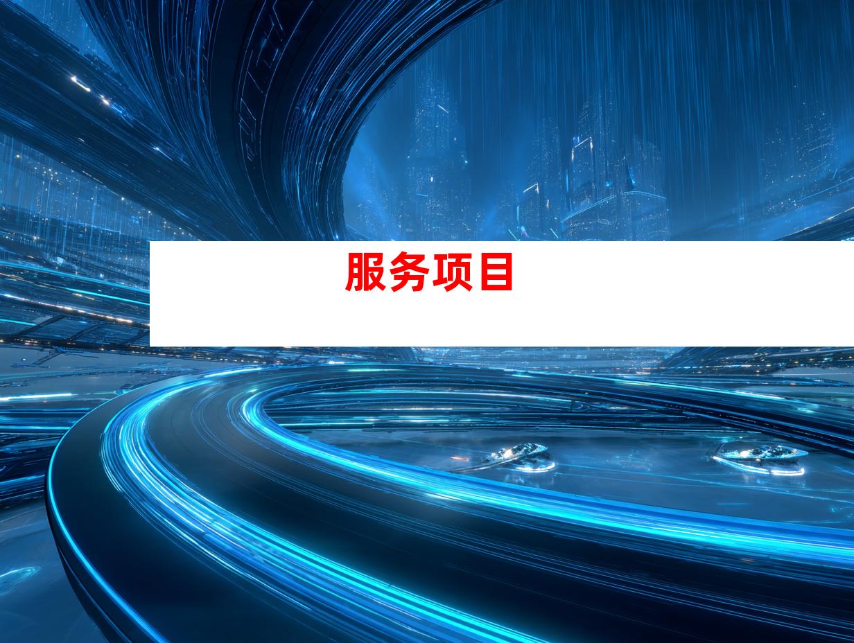 服务项目