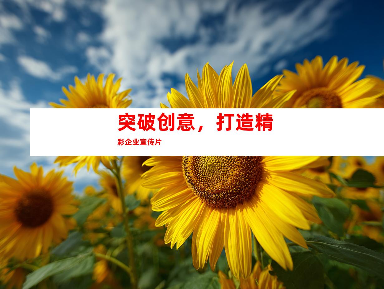 突破创意，打造精彩企业宣传片