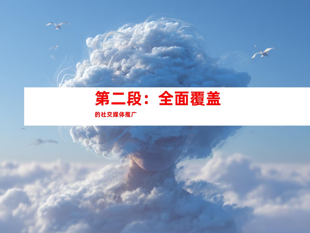 第二段：全面覆盖的社交媒体推广