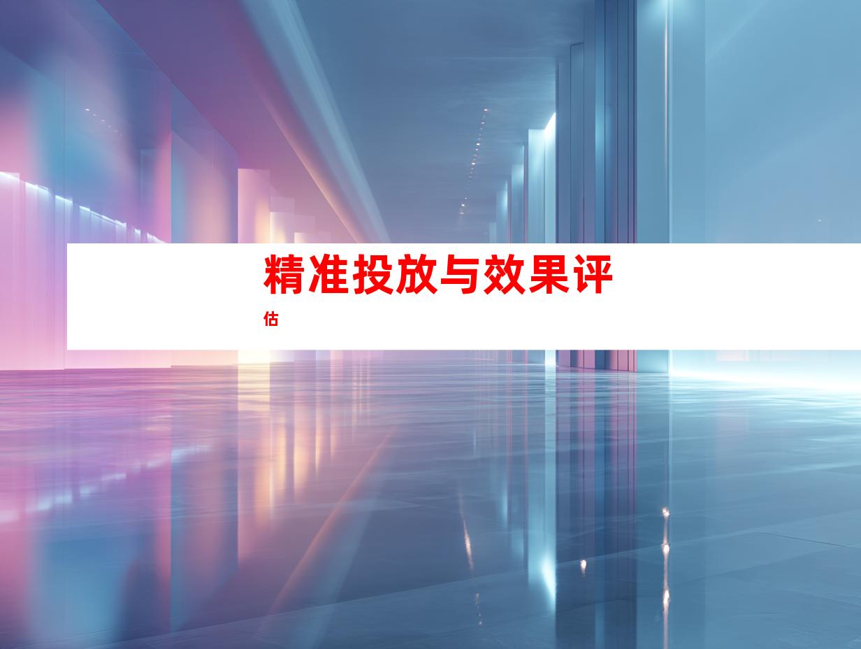 精准投放与效果评估