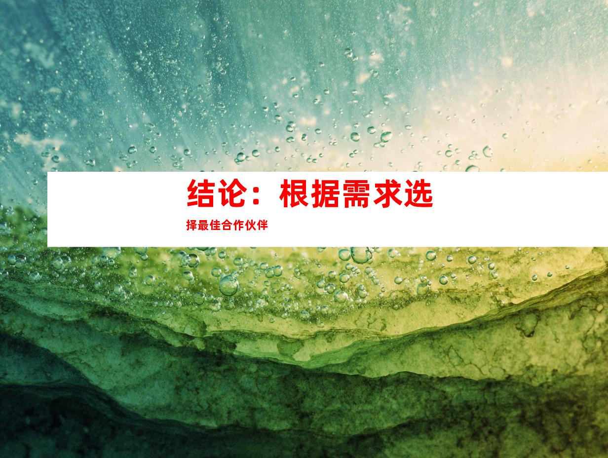 结论：根据需求选择最佳合作伙伴
